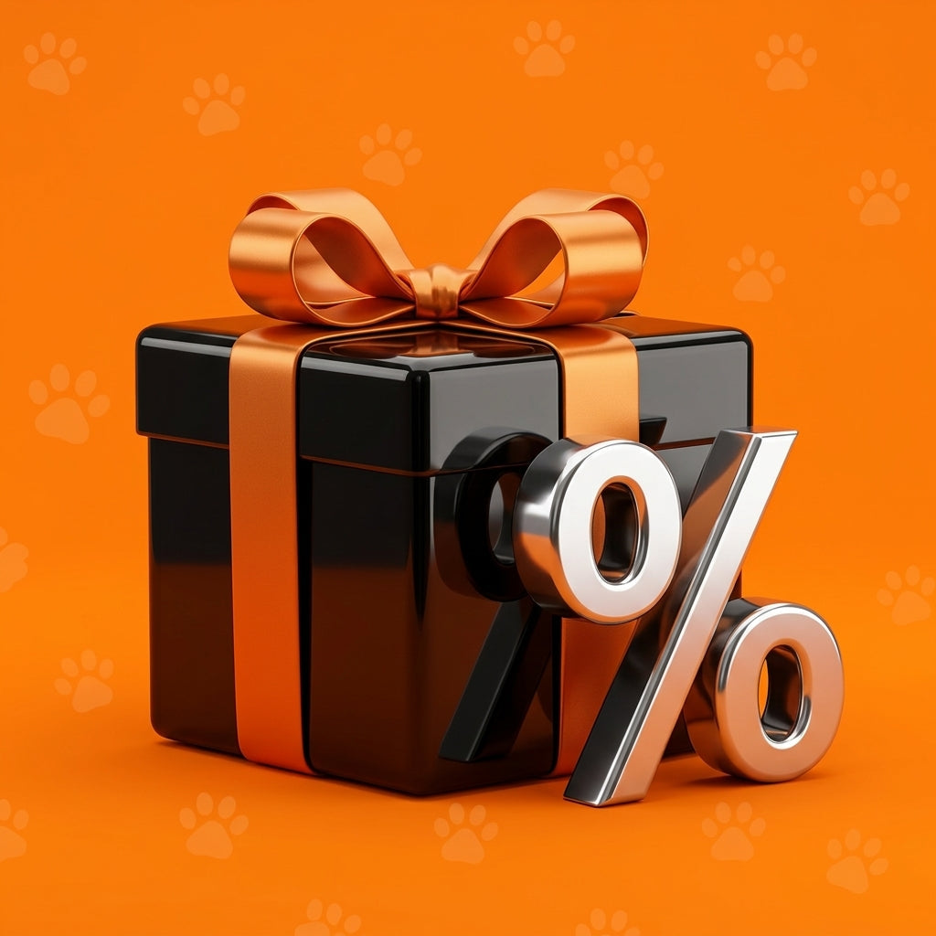 Offres & Promotions