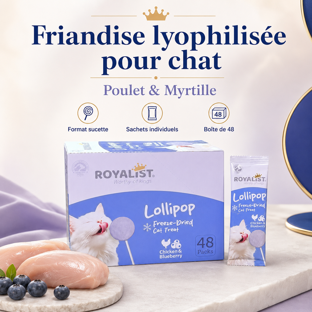 Sucette Lyophilisée pour Chat Royalist Lollipop – Friandise Premium Freeze-Dried Poulet & Myrtille, Vendu à l'Unité