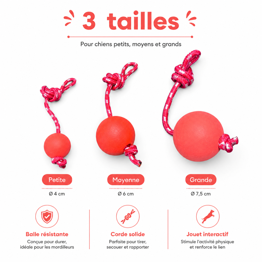 Balle pour Chien avec Corde Ultra-Résistante