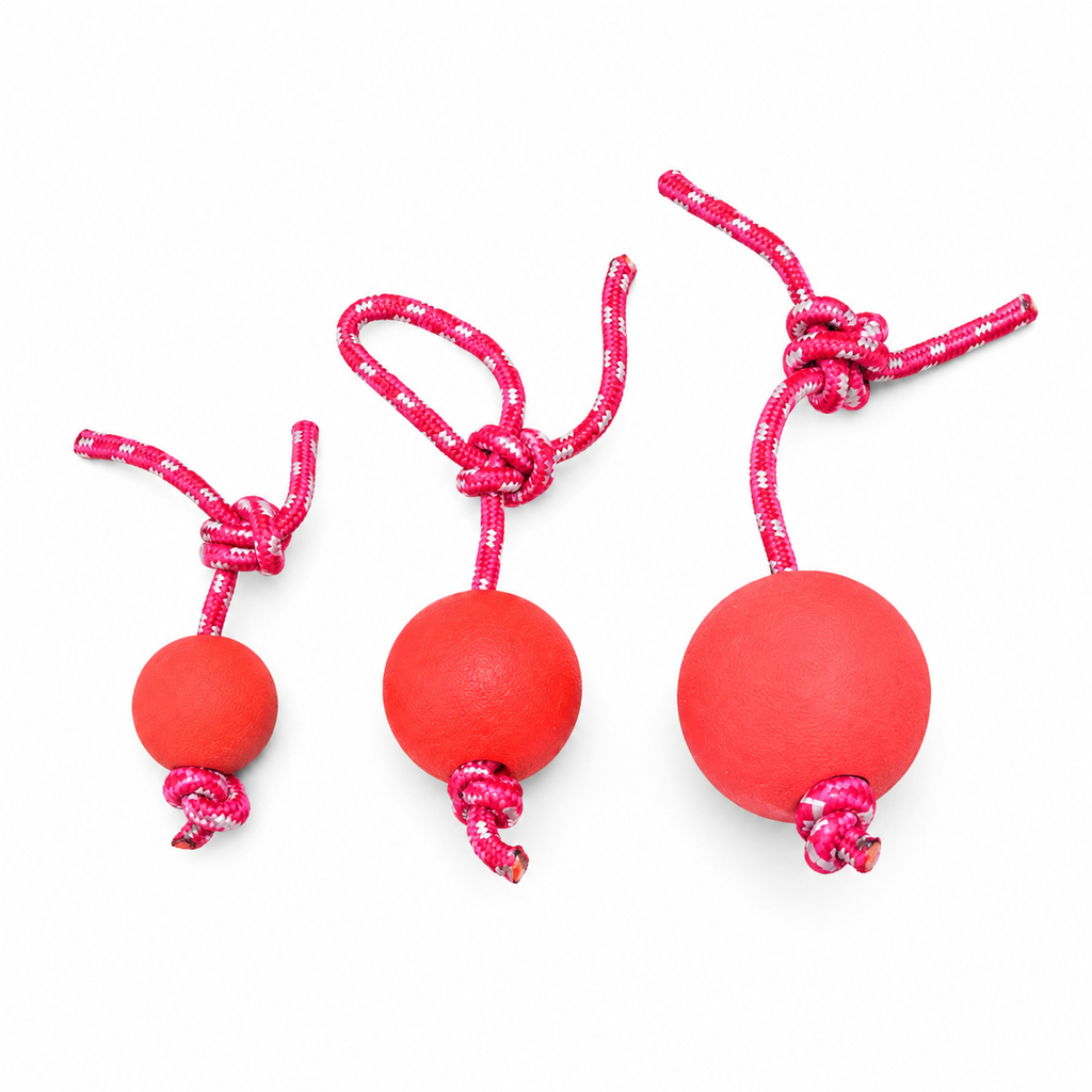Balle pour Chien avec Corde Ultra-Résistante