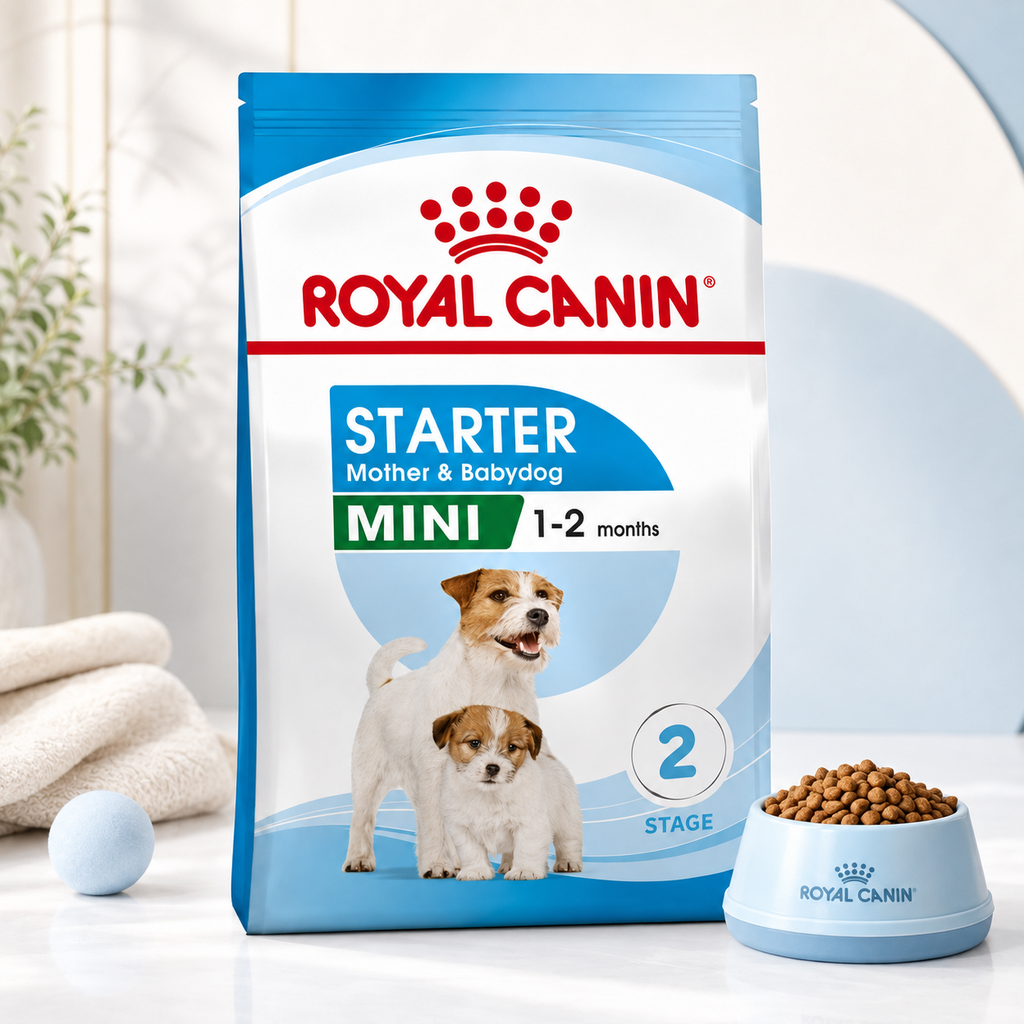 Royal Canin Mini Starter Mother & Babydog – Croquettes pour Chienne & Chiot (1 kg ou 4 kg)