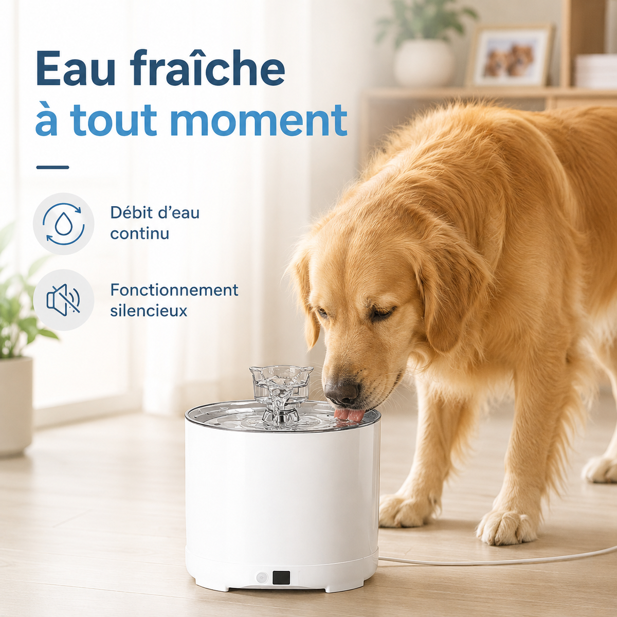 Fontaine à Eau pour Chat et Chien Automatique – Distributeur d'Eau Électrique Silencieux avec Double Flux Jet et Source