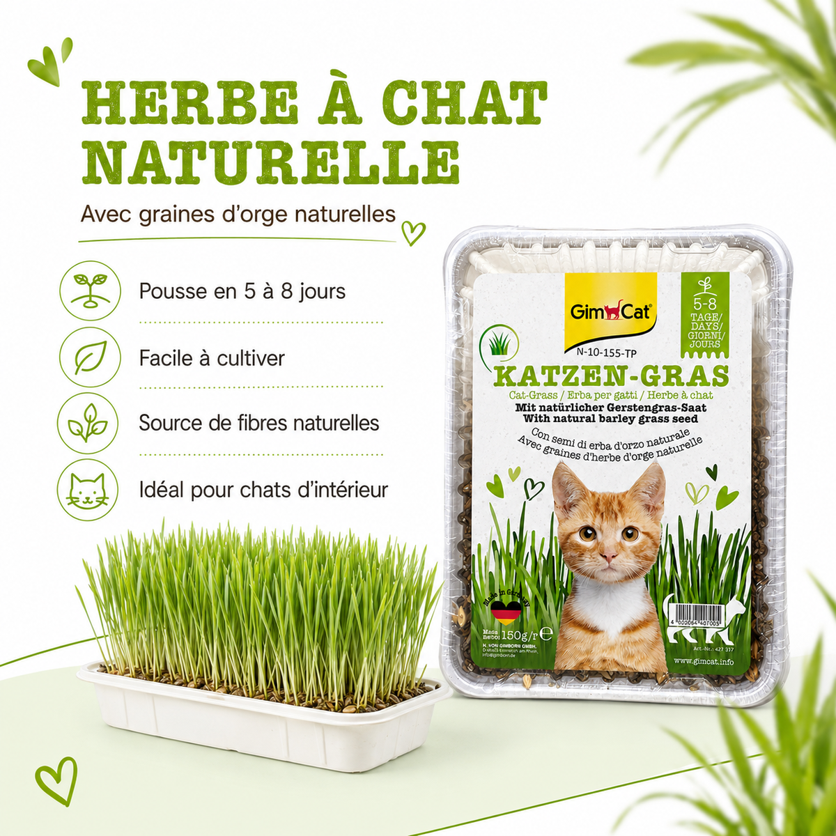 Herbe à Chat GimCat avec Graines d'Orge Naturelles (150g)