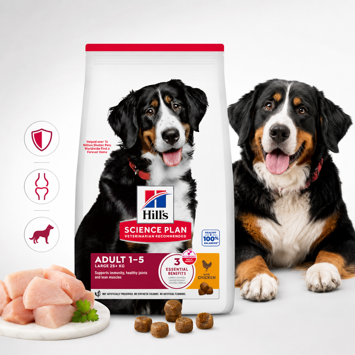 Hill's Science Plan Large Breed Adult au Poulet – Croquettes pour Chien Adultes (2,5 kg ou 14 kg)
