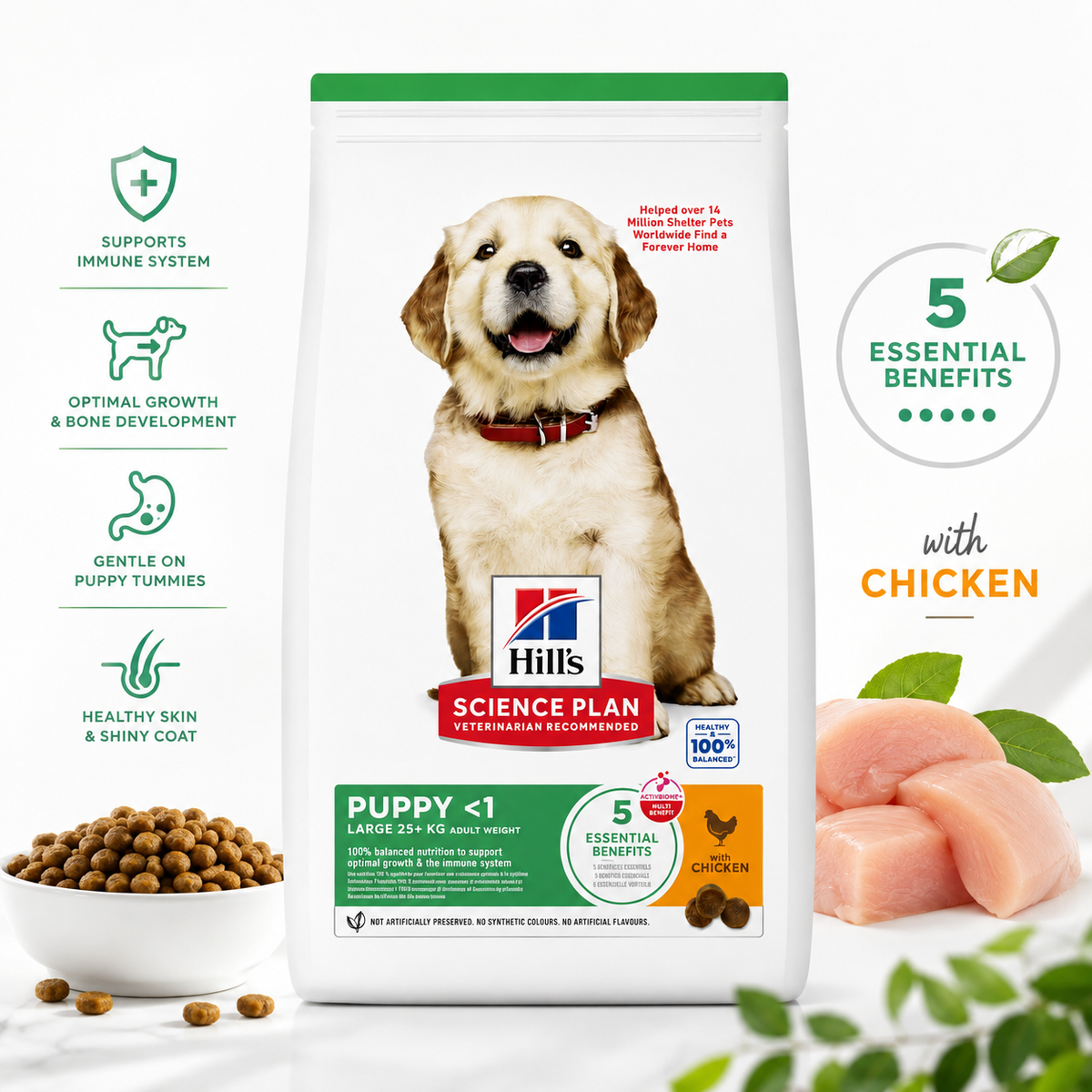 Hill's Science Plan Large Puppy au Poulet – Croquettes pour Chiot (2,5 kg ou 14,5 kg)