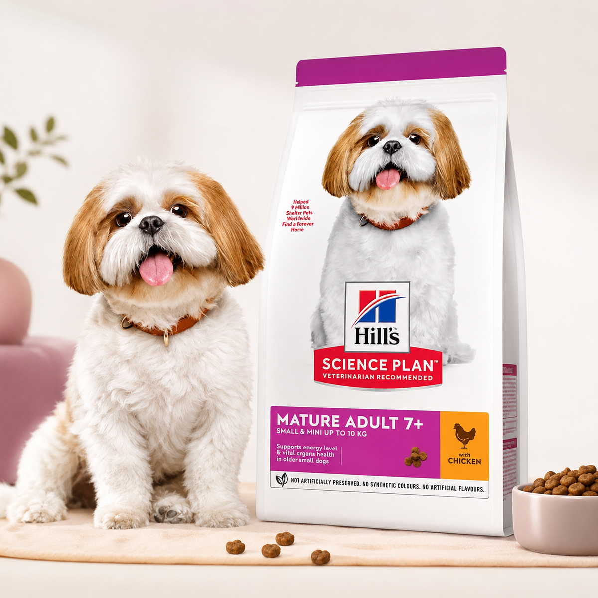 Hill's Science Plan Mature Adult 7+ Small & Mini au Poulet – Croquettes pour Chien Senior (1,5 kg, 3 kg ou 6 kg)
