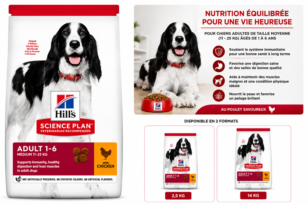 Hill's Science Plan Medium Adult au Poulet – Croquettes pour Chien Adultes (2,5 kg ou 14 kg)