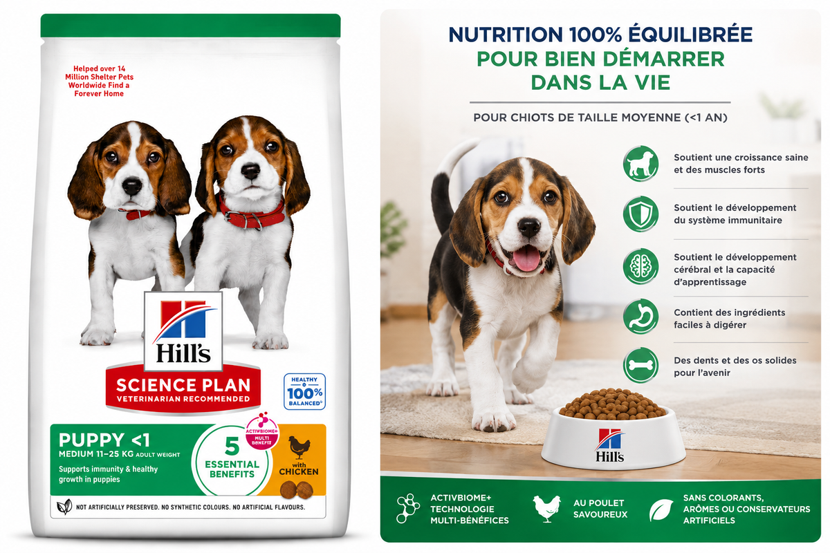 Hill's Science Plan Medium Puppy au Poulet – Croquettes pour Chiot (800 g, 2,5 kg ou 14 kg)