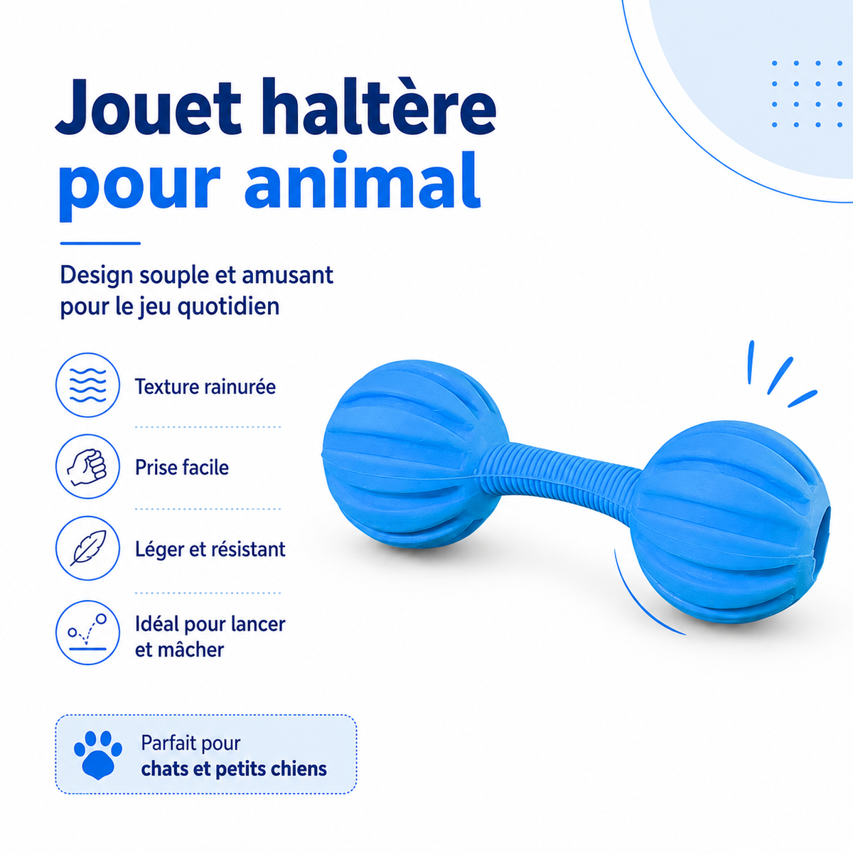 Jouet Haltère en Caoutchouc Texturé pour Chien
