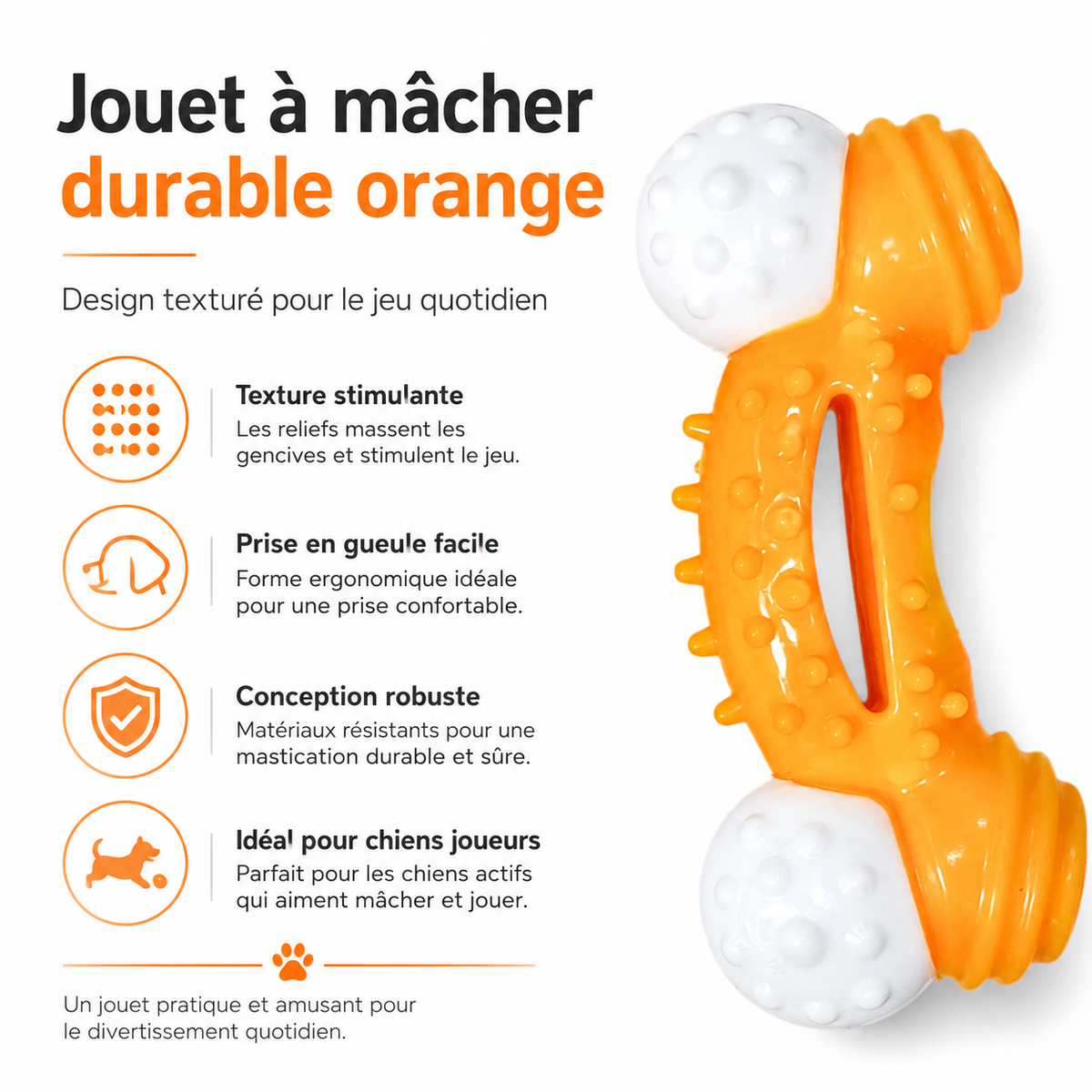 Jouet Os à Mâcher Intelligents avec Poignée pour Chien