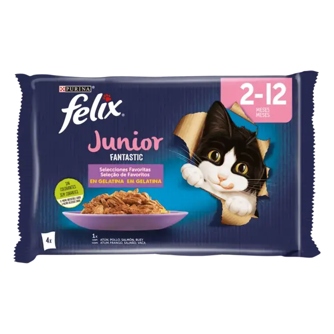 Purina Felix Junior تشكيلة فانتاستيك المفضلة بجيلي لهريرة (4 × 85 جم)