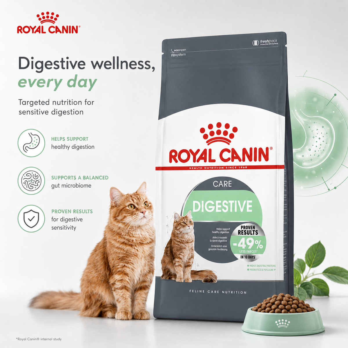 Royal Canin Digestive Care – Croquettes pour Chat (400 g / 2 kg)