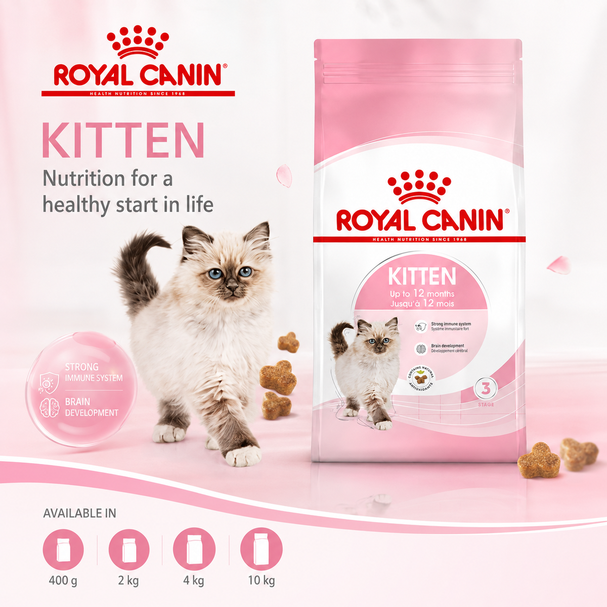 Royal Canin Kitten – Croquettes pour Chaton (400 g / 2 kg / 4 kg / 10 kg)