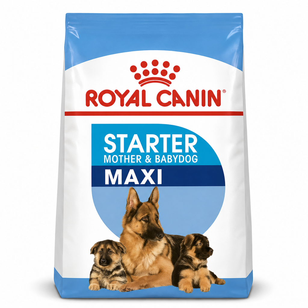 Royal Canin Maxi Starter Mother & Babydog – Croquettes pour Chienne & Chiot de Grande Taille (4 kg ou 15 kg)