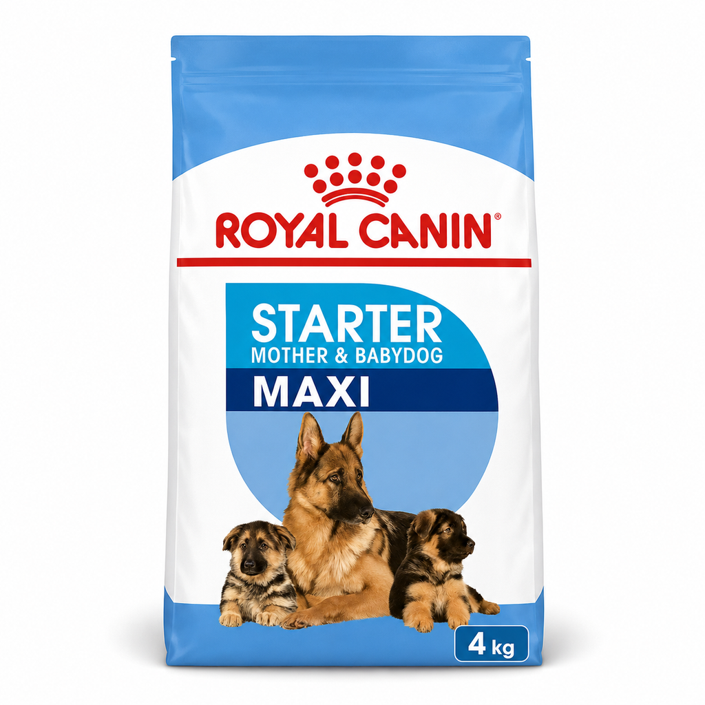 Royal Canin Maxi Starter Mother & Babydog – Croquettes pour Chienne & Chiot de Grande Taille (4 kg ou 15 kg)