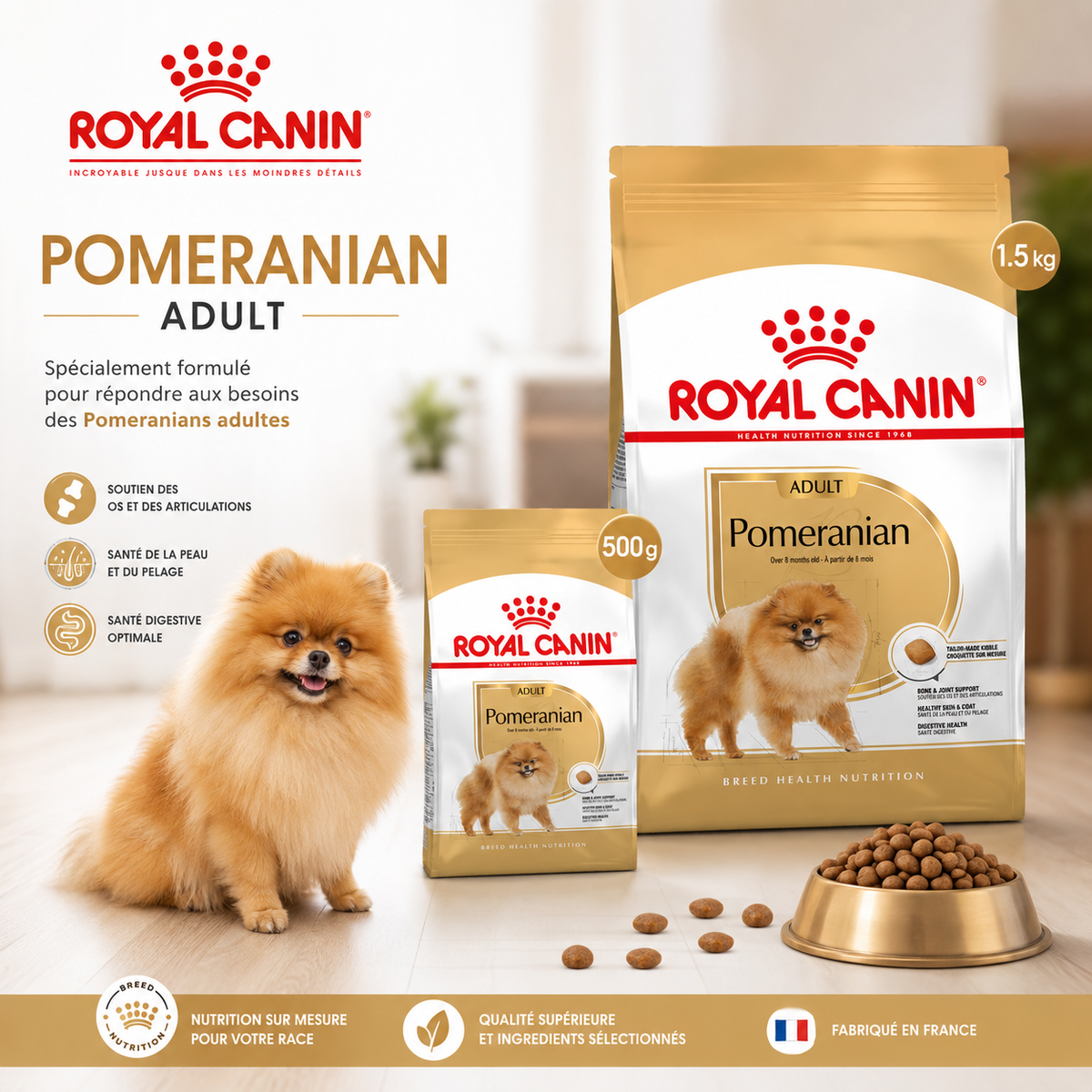 Royal Canin Pomeranian Adulte – Croquettes pour Spitz Nain (500 g / 1.5 kg)