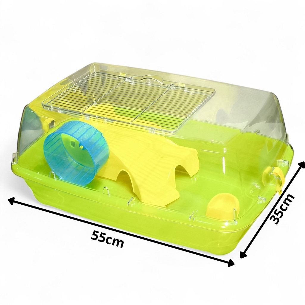 Cage Terrarium Transparente Aménagée pour Hamster et Petits Rongueurs