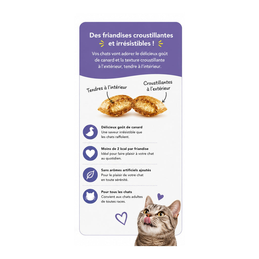 Friandises pour Chat Catisfactions au Canard (60g)