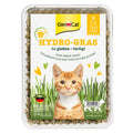 Herbe à Chat Hydro-Gras GimCat avec Graines d'Orge Naturelle (150g)