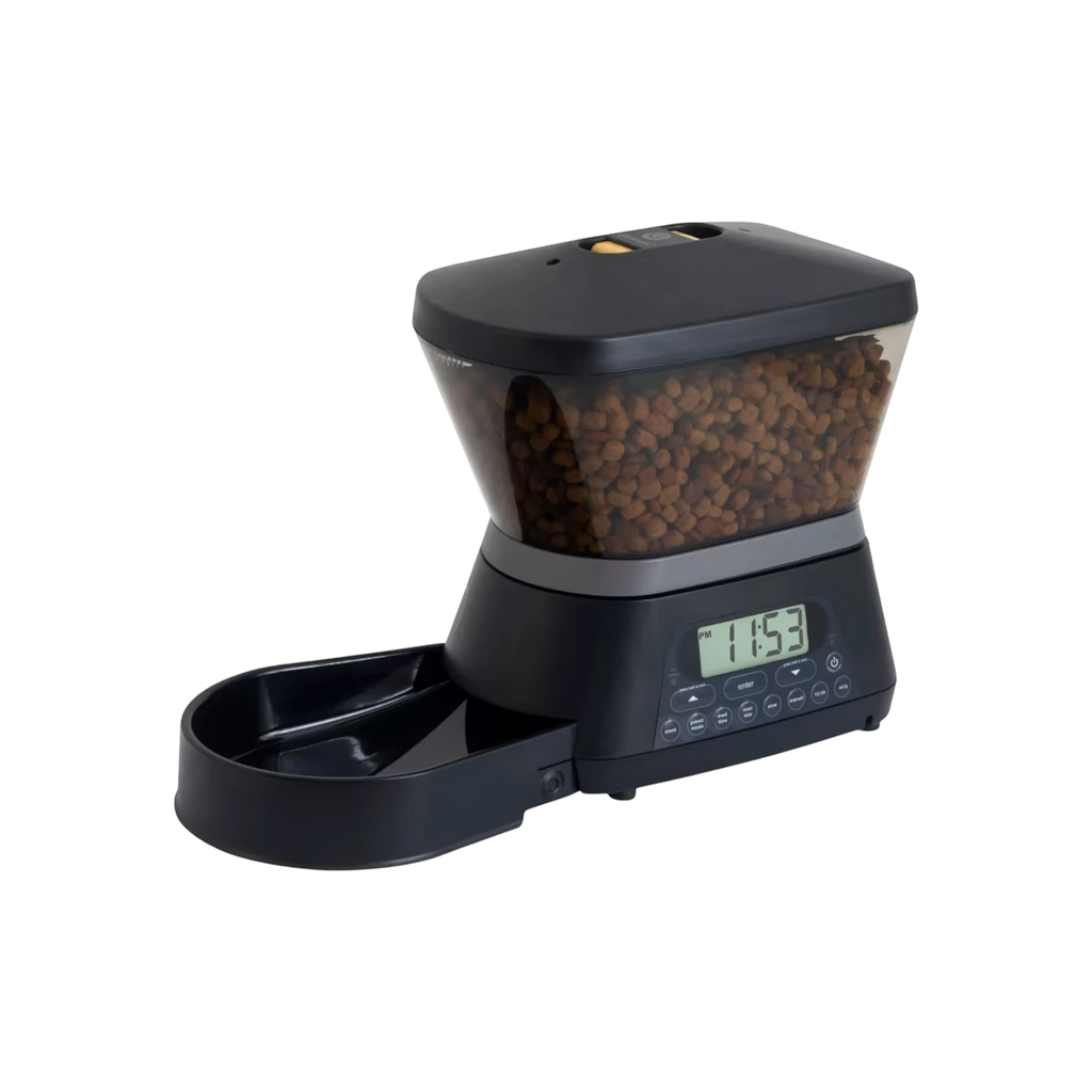 Maroc-animalerie black automated pet food feeder with digital clock and 7.5 lb capacity