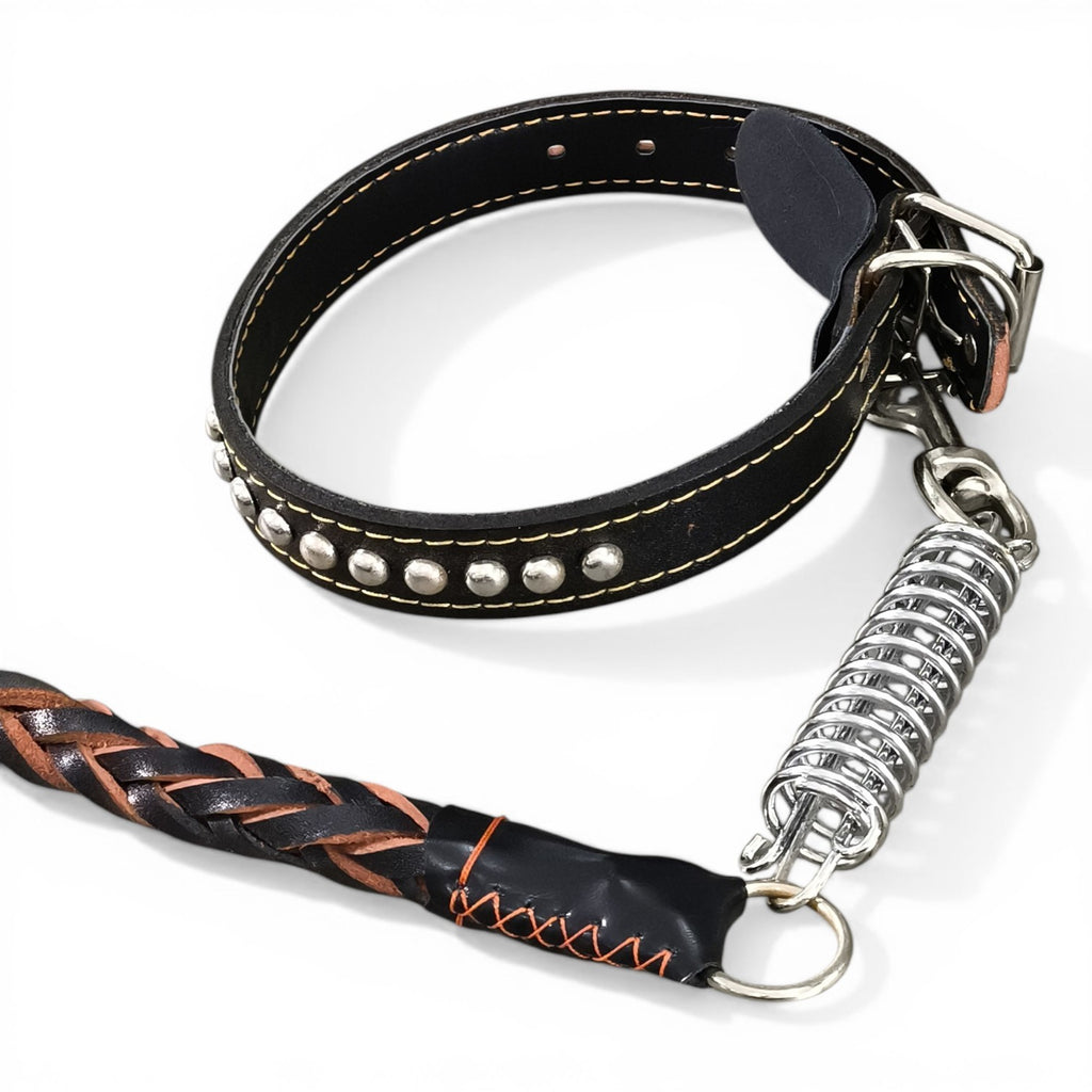 maroc-animalerie black leather dog collar with silver studs and braided leash with shock-absorbing spring.
