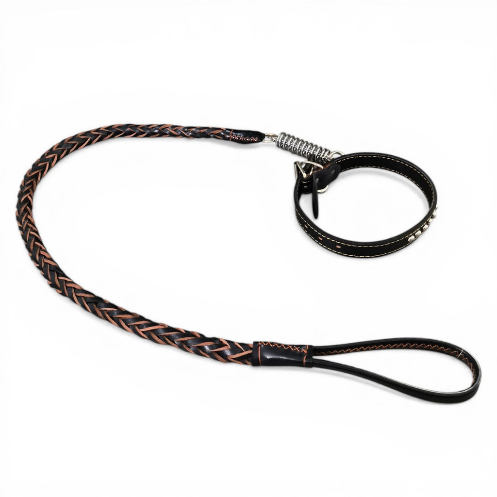 maroc-animalerie black braided leather dog collar and leash set with silver studs and metal buckle