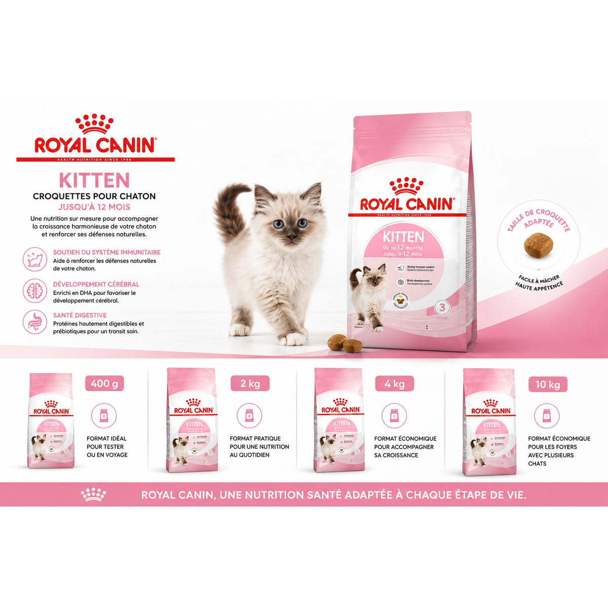 Royal Canin Kitten – Croquettes pour Chaton (400 g / 2 kg / 4 kg / 10 kg)