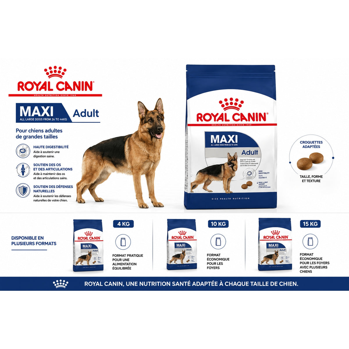 Royal Canin Maxi Adult – Croquettes pour Chien de Grande Race (4 kg / 10 kg / 15 kg)