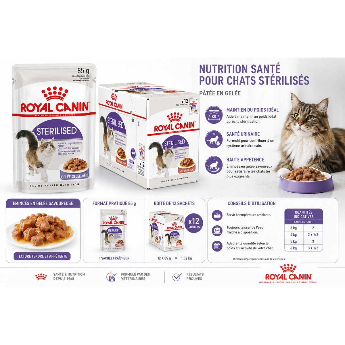 Royal Canin Sterilised en Gelée – Pâtée pour Chat Adulte Stérilisé - à l'Unité ou en Pack de 12pcs